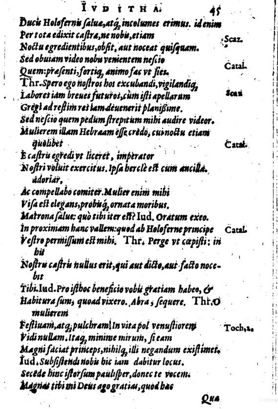 SchonaeusI1614645.jpg