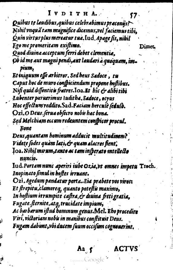 SchonaeusI1614657.jpg