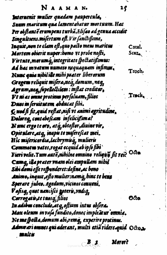 SchonaeusI1614125