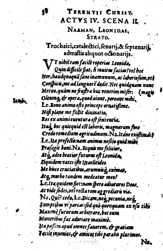 SchonaeusI1614138