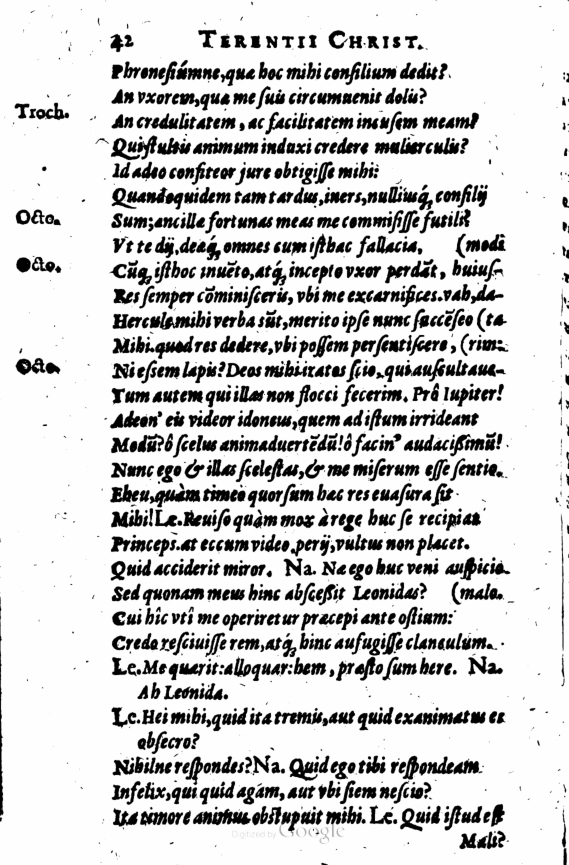 SchonaeusI1614142