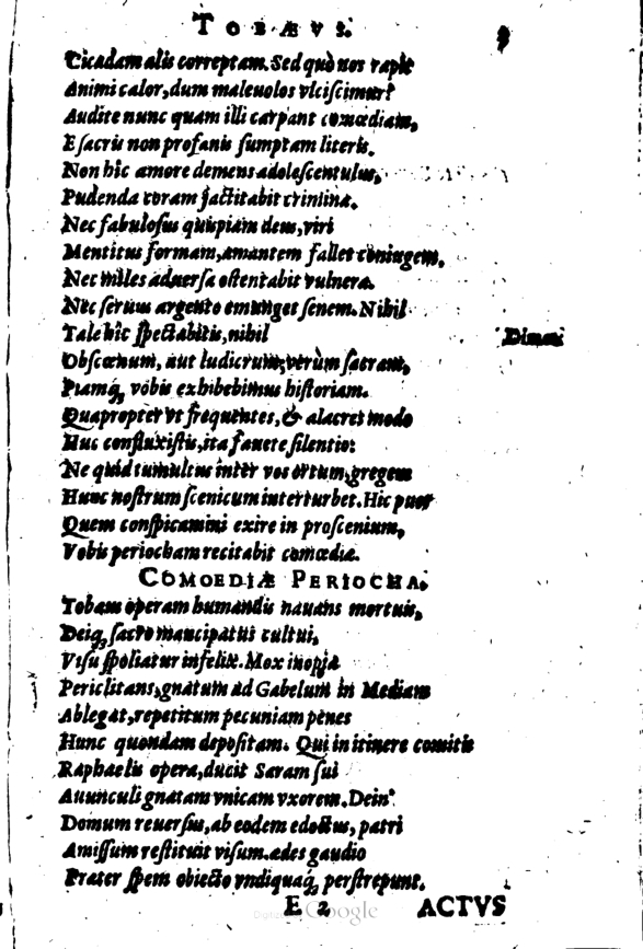 SchonaeusI1614203