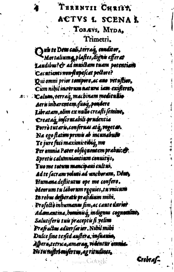 SchonaeusI1614204