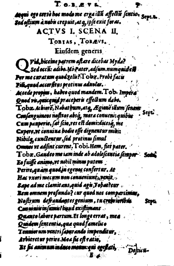 SchonaeusI1614207