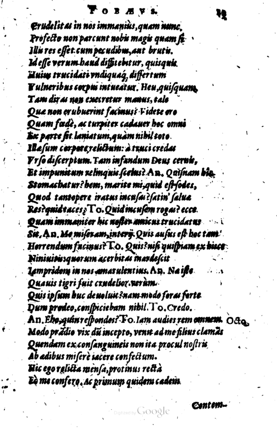 SchonaeusI1614213