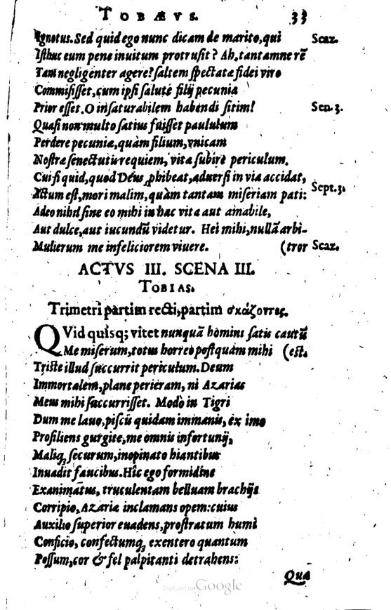 SchonaeusI1614233