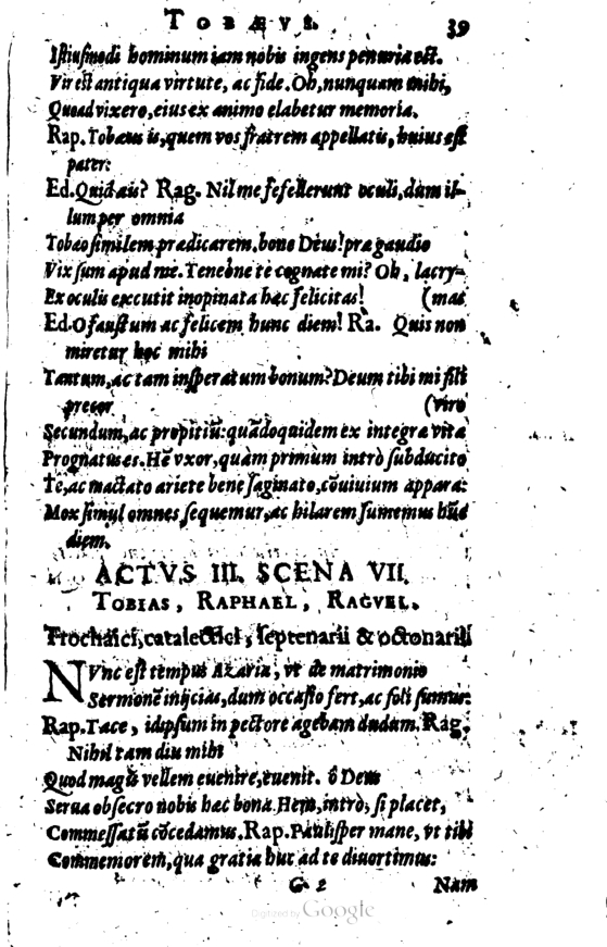 SchonaeusI1614239