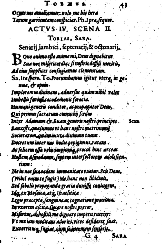 SchonaeusI1614243