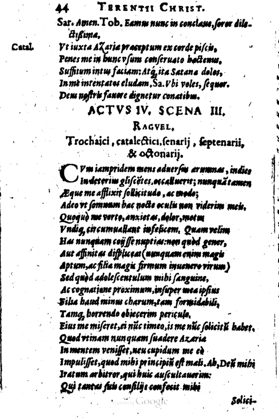 SchonaeusI1614244