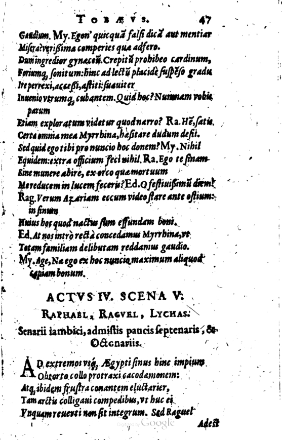 SchonaeusI1614247