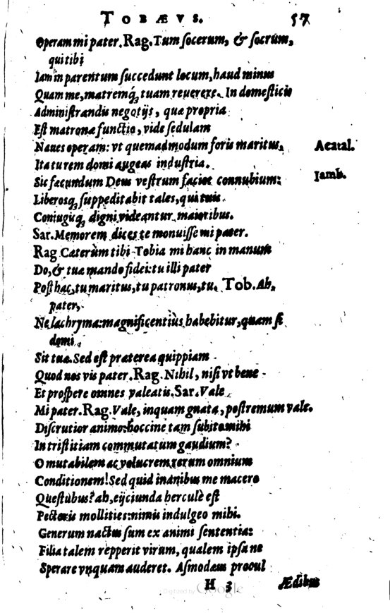 SchonaeusI1614257