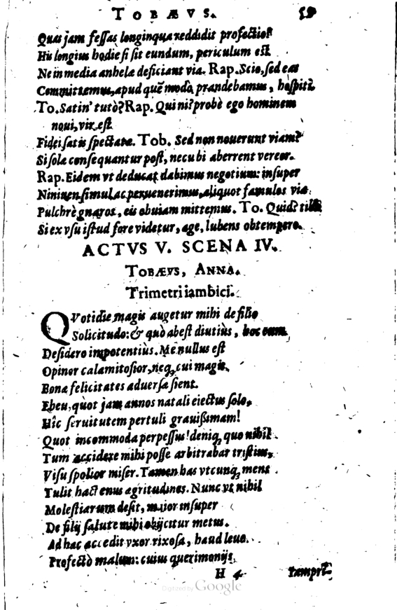 SchonaeusI1614259