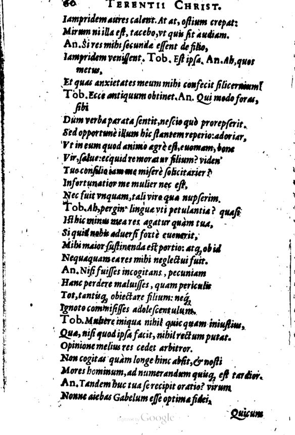 SchonaeusI1614260