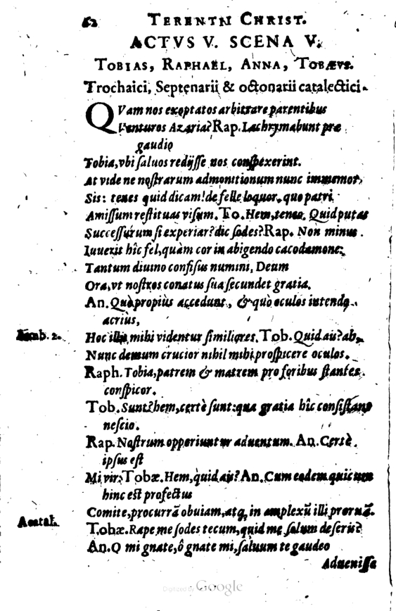 SchonaeusI1614262