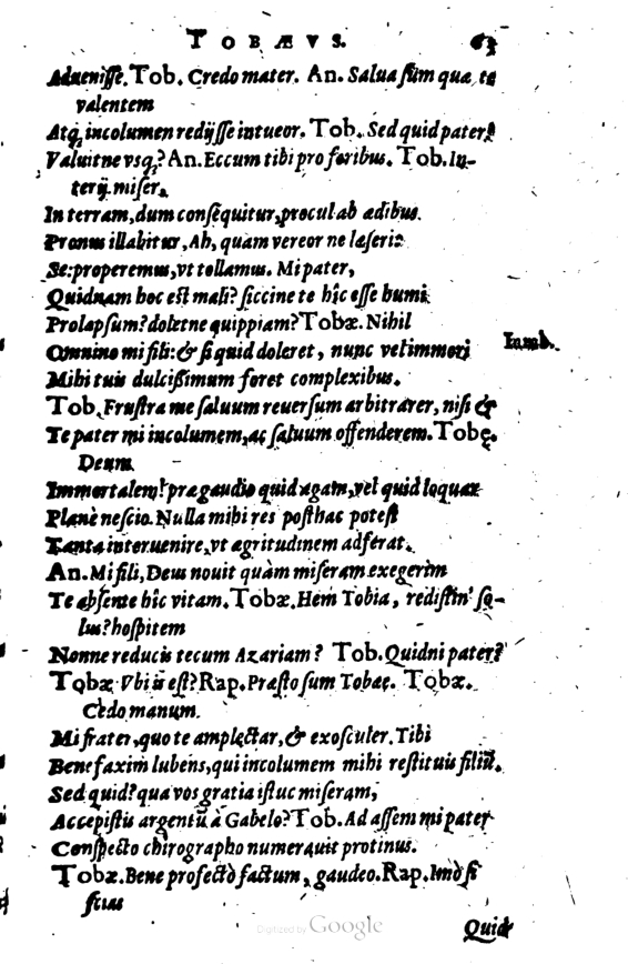 SchonaeusI1614263