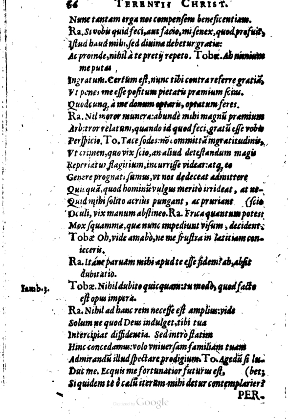 SchonaeusI1614266