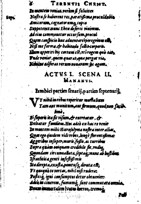 SchonaeusI1614306