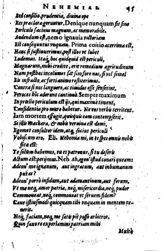 SchonaeusI1614345