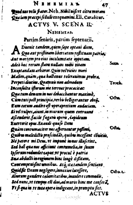 SchonaeusI1614347