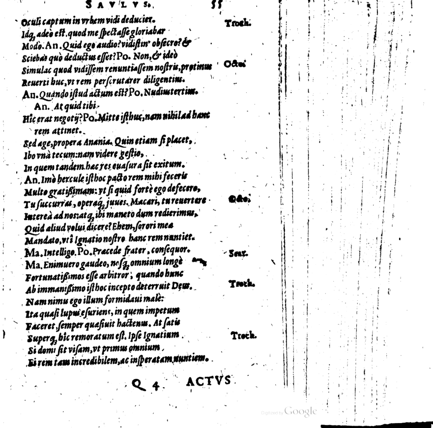 SchonaeusI1614455