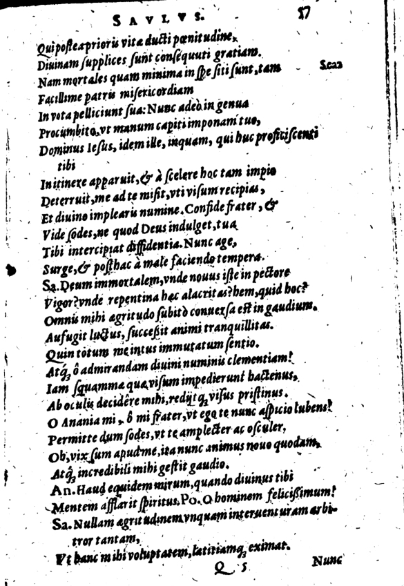 SchonaeusI1614457