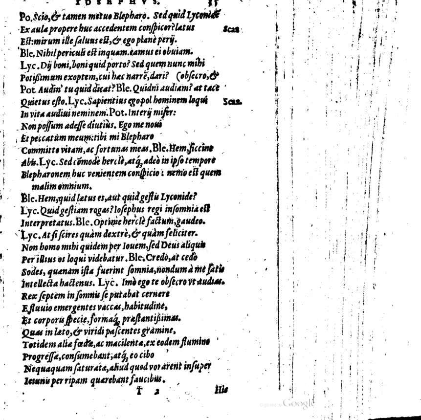 SchonaeusI1614535