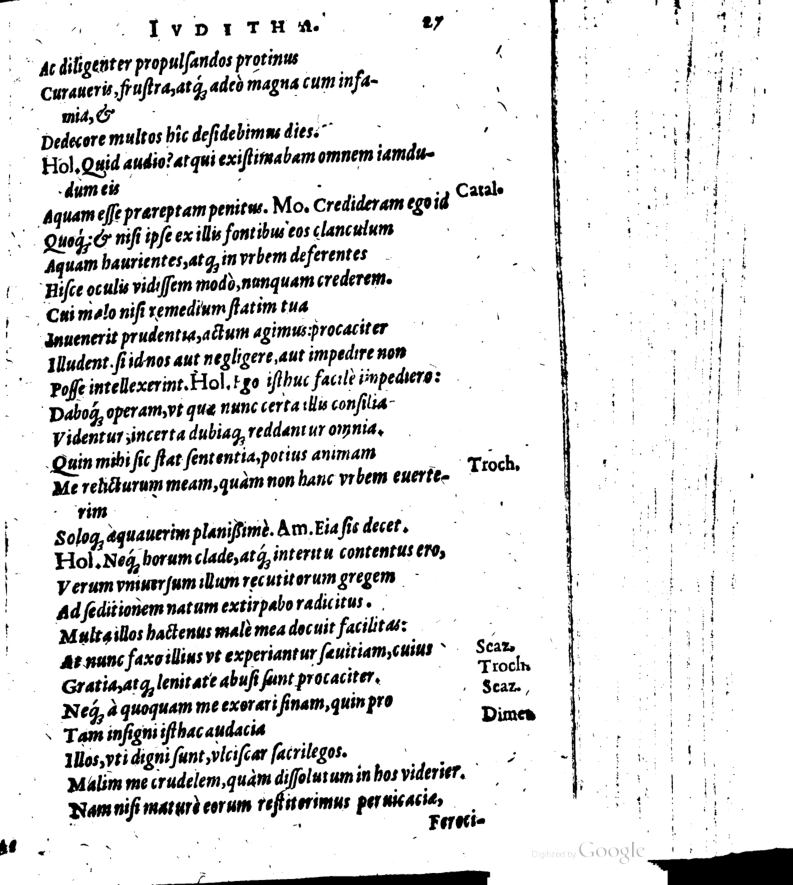 SchonaeusI1614627