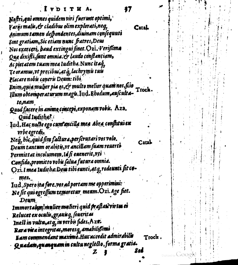 SchonaeusI1614637