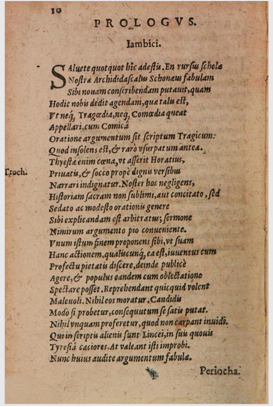 SchonaeusIII1618p010.jpg