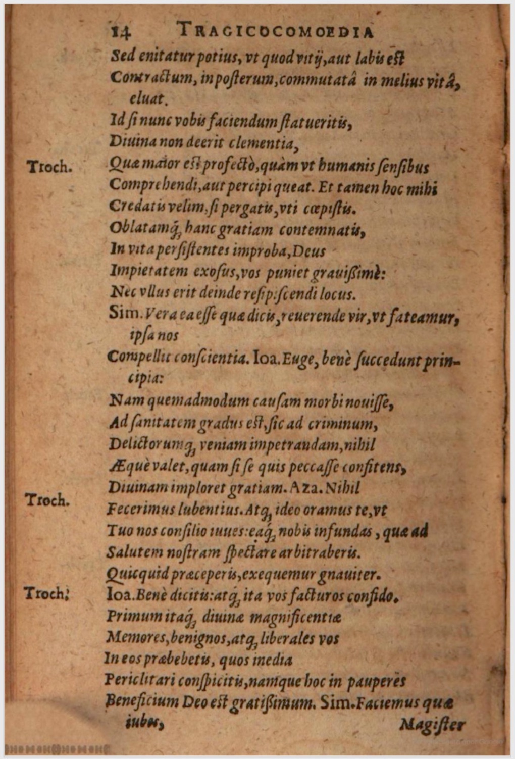 SchonaeusIII1618p014.jpg