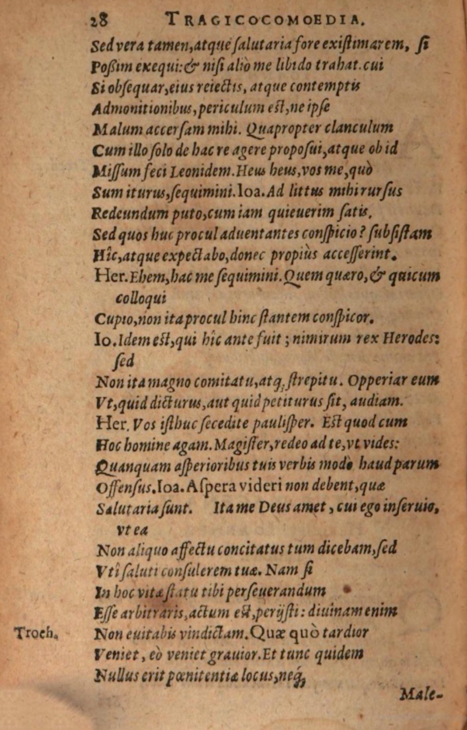 SchonaeusIII1618p028.jpg