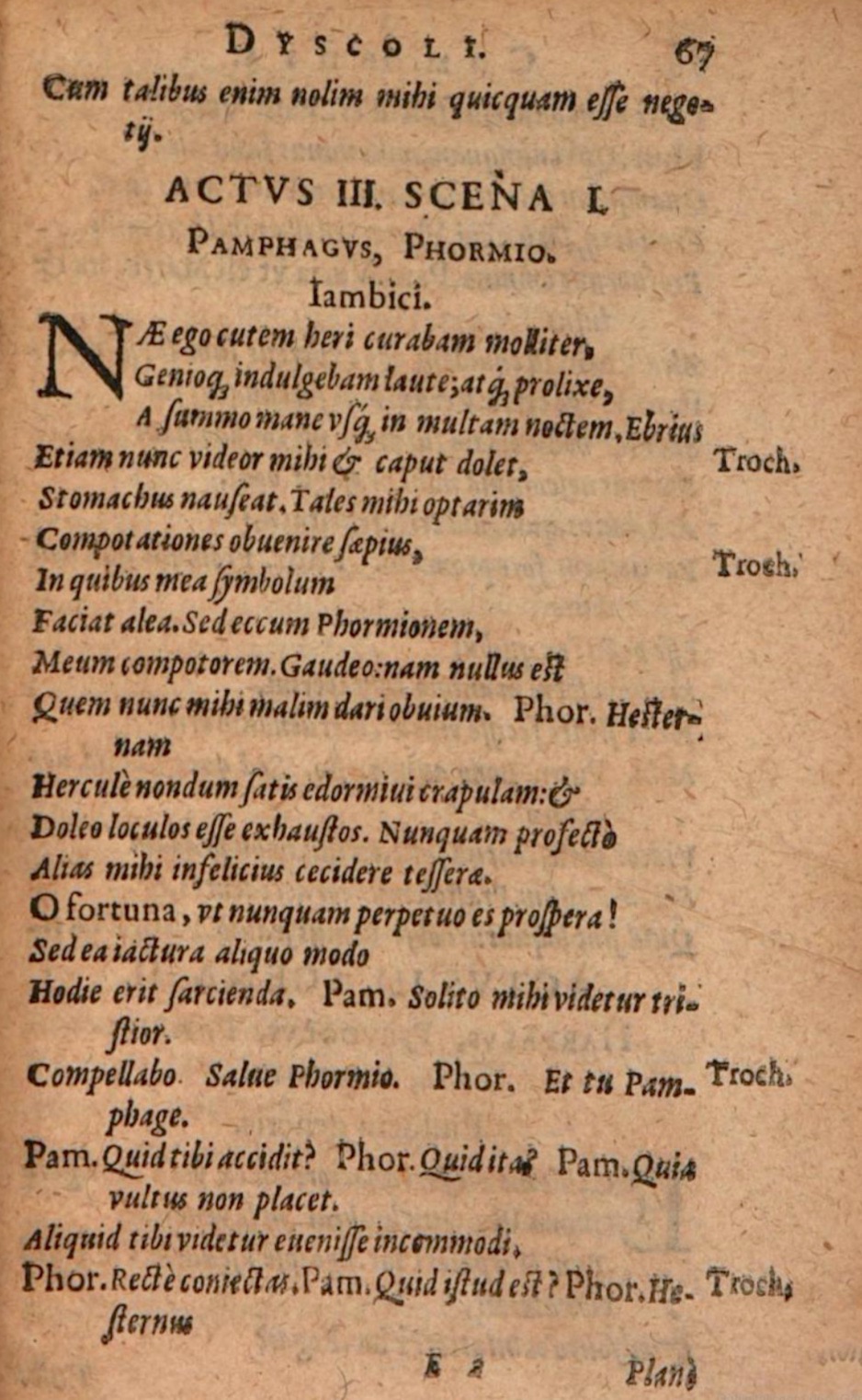 SchonaeusIII1618p067.jpg