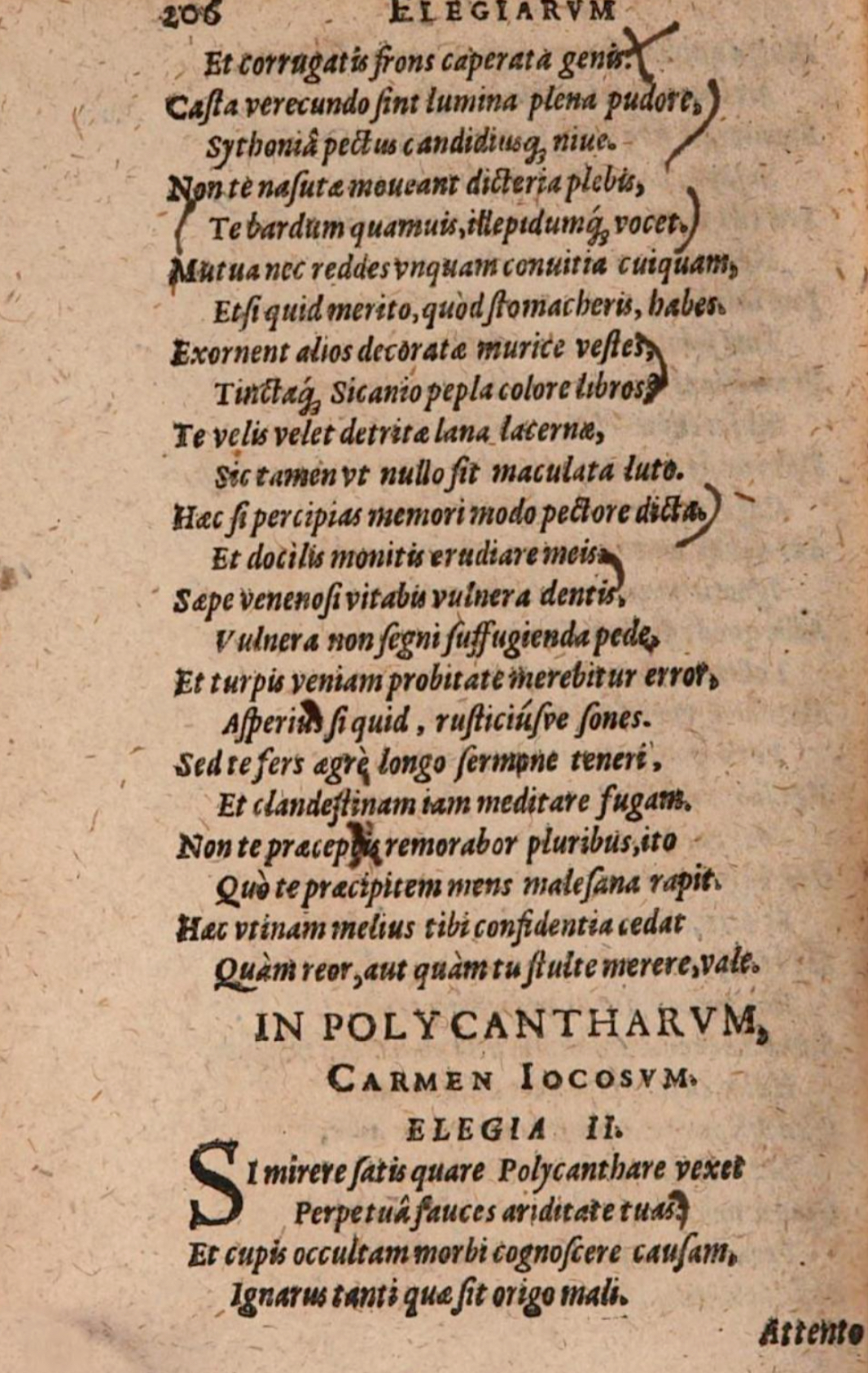 SchonaeusIII1618p206.jpg