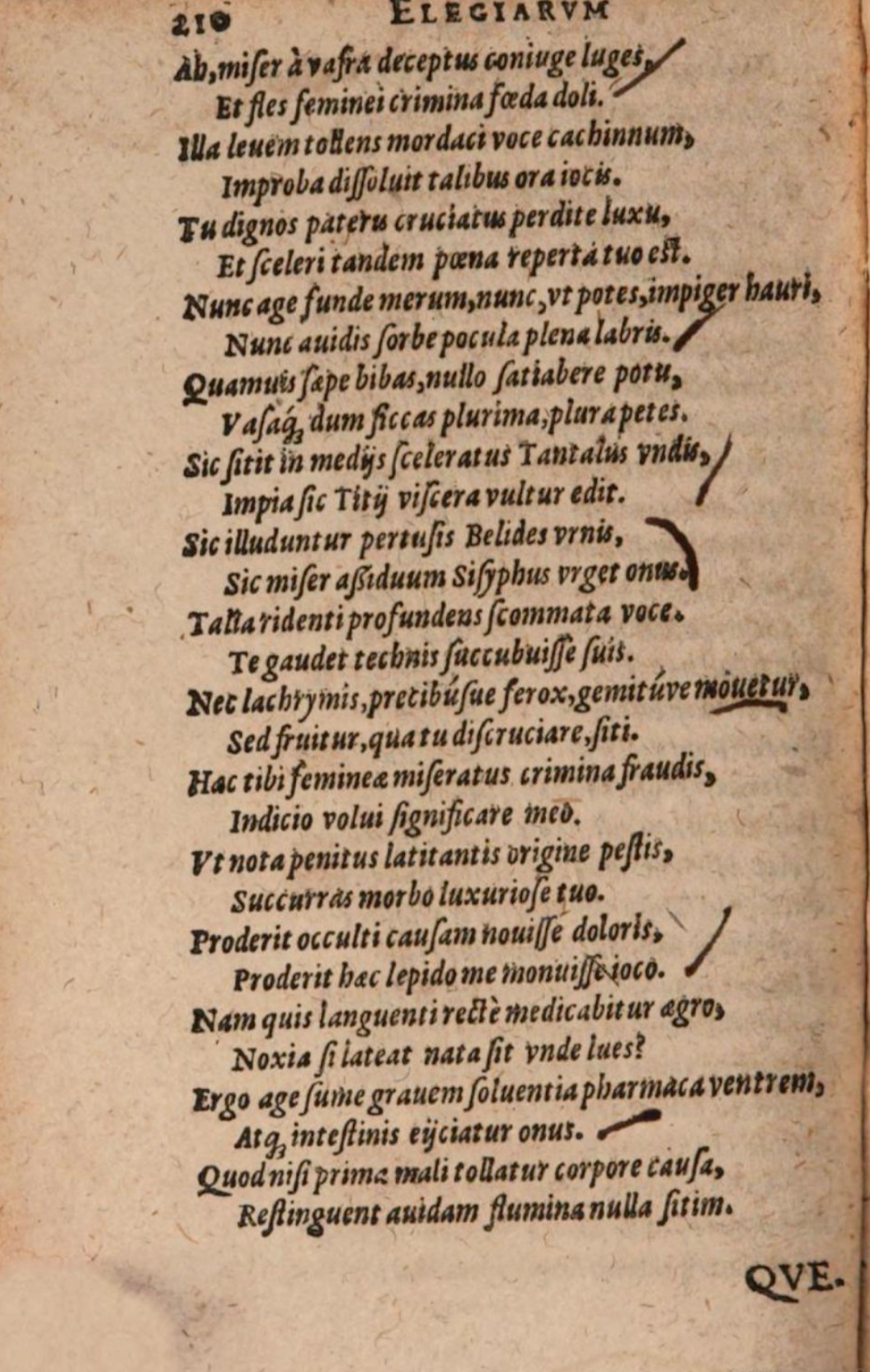 SchonaeusIII1618p210