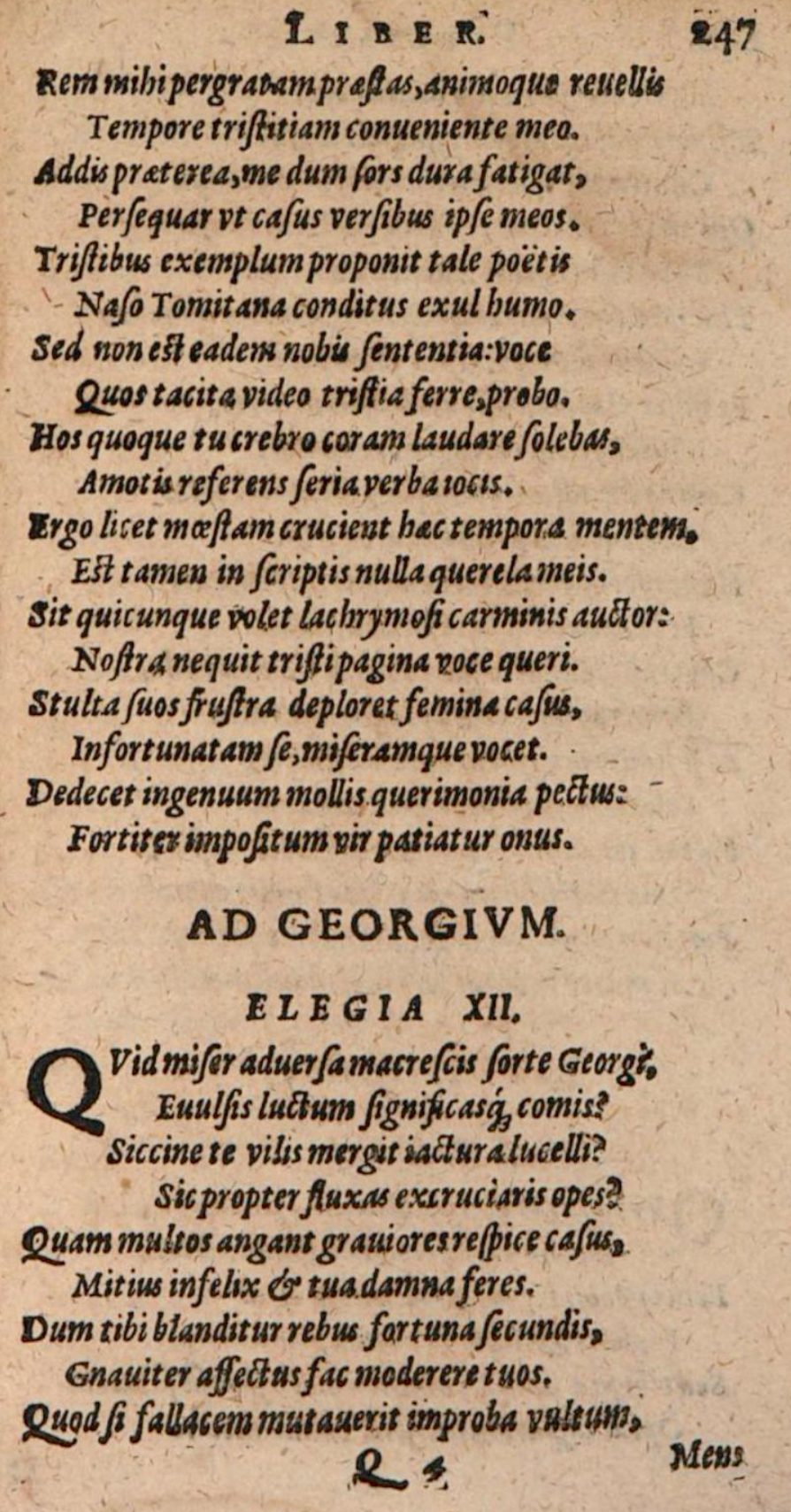 SchonaeusIII1618p247.jpg