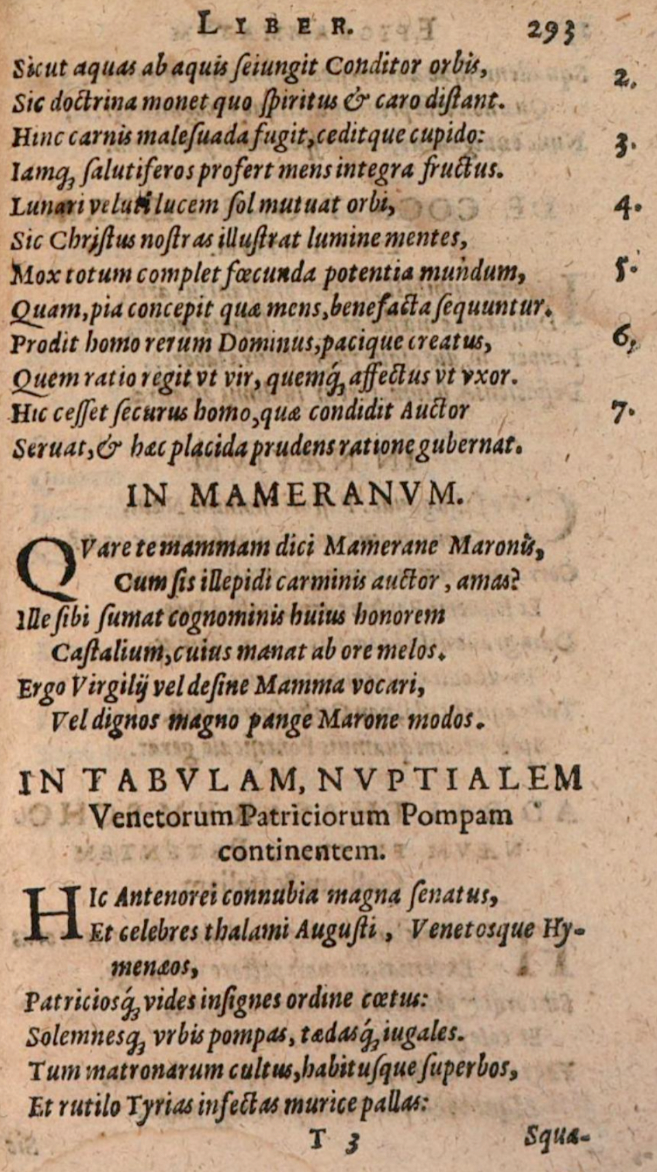 SchonaeusIII1618p293.jpg