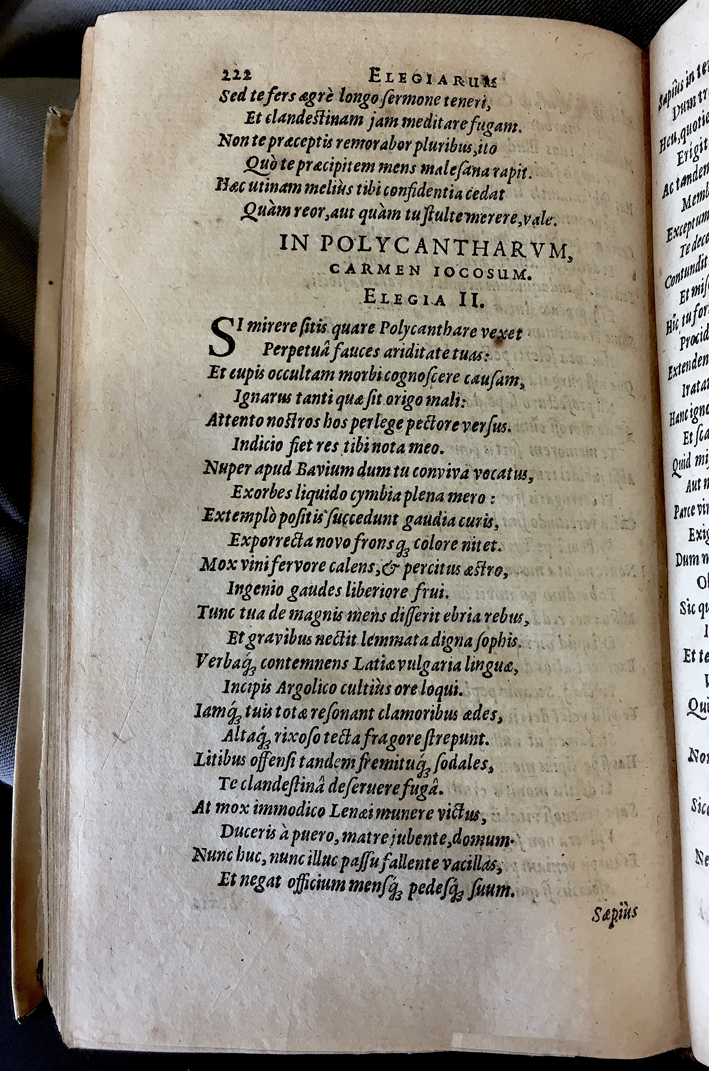 Schonaeus7Poemata1599p222.jpg