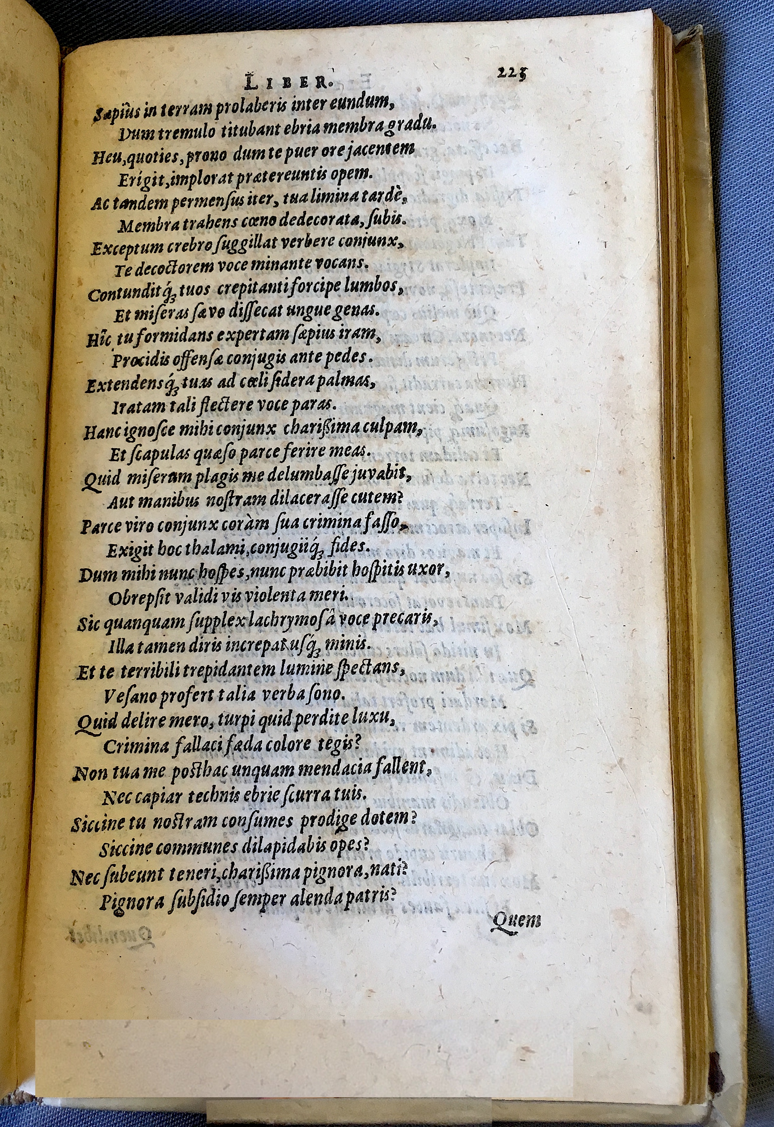 Schonaeus7Poemata1599p223.jpg