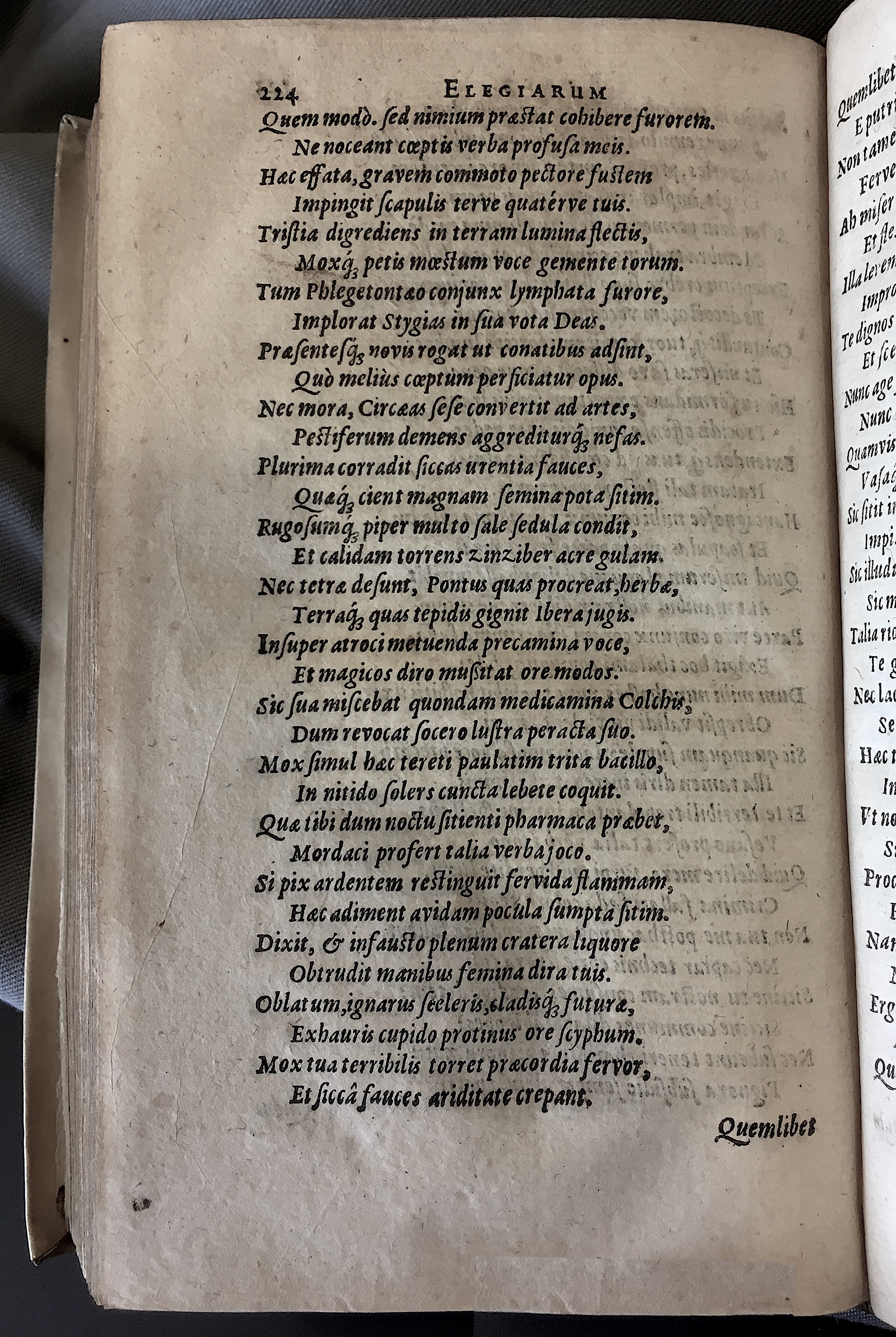 Schonaeus7Poemata1599p224.jpg