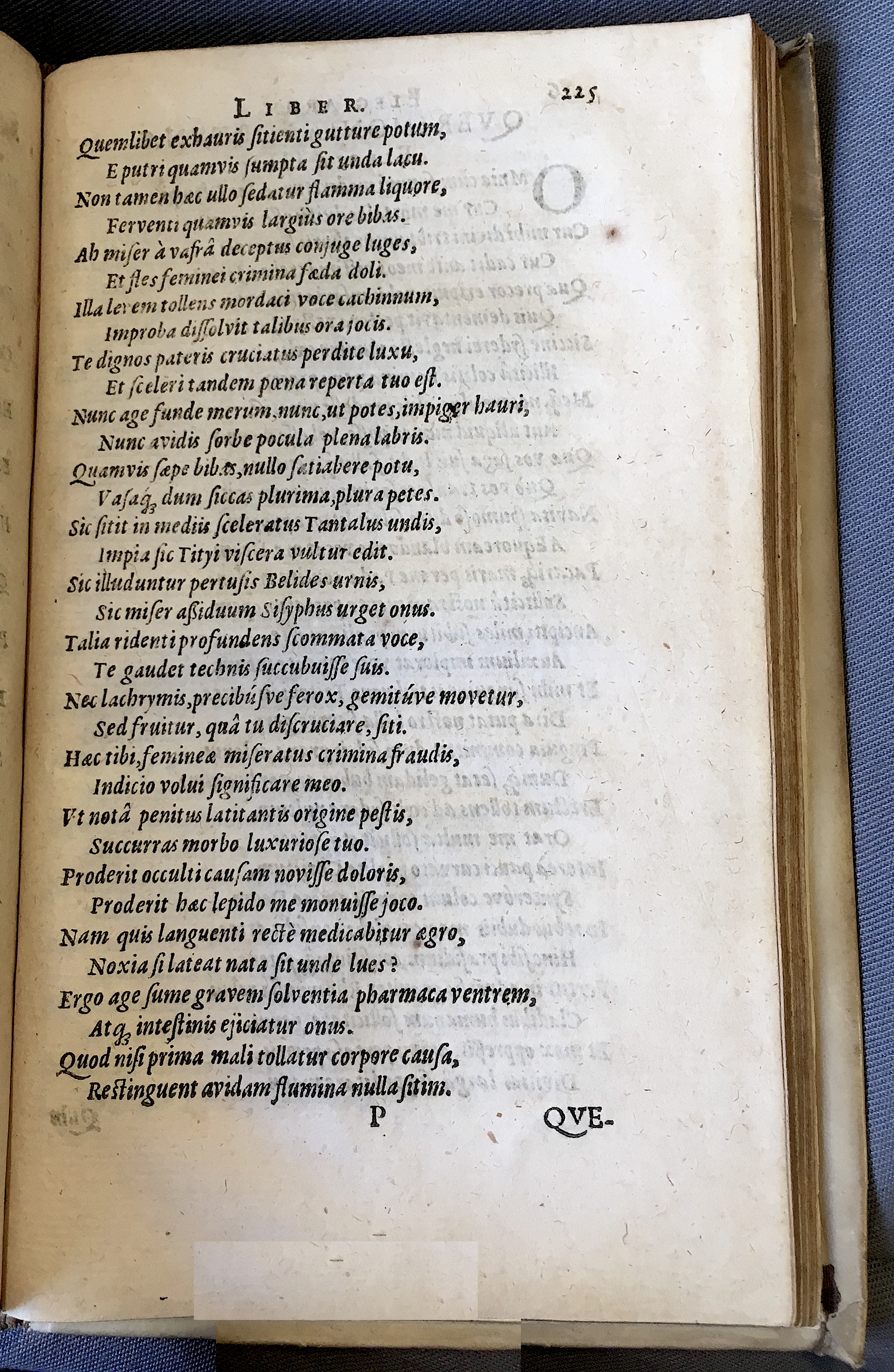 Schonaeus7Poemata1599p225.jpg