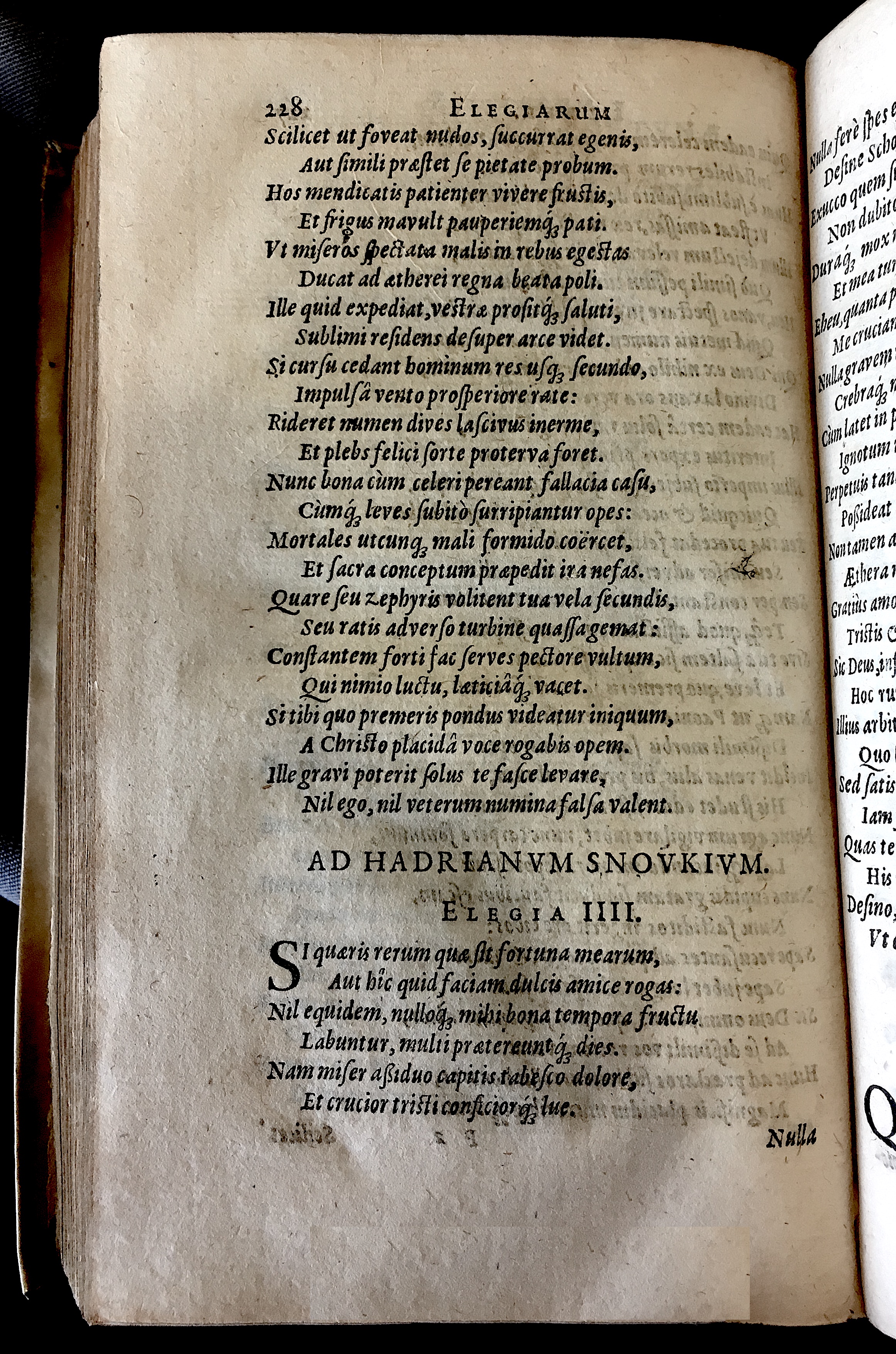 Schonaeus7Poemata1599p228.jpg