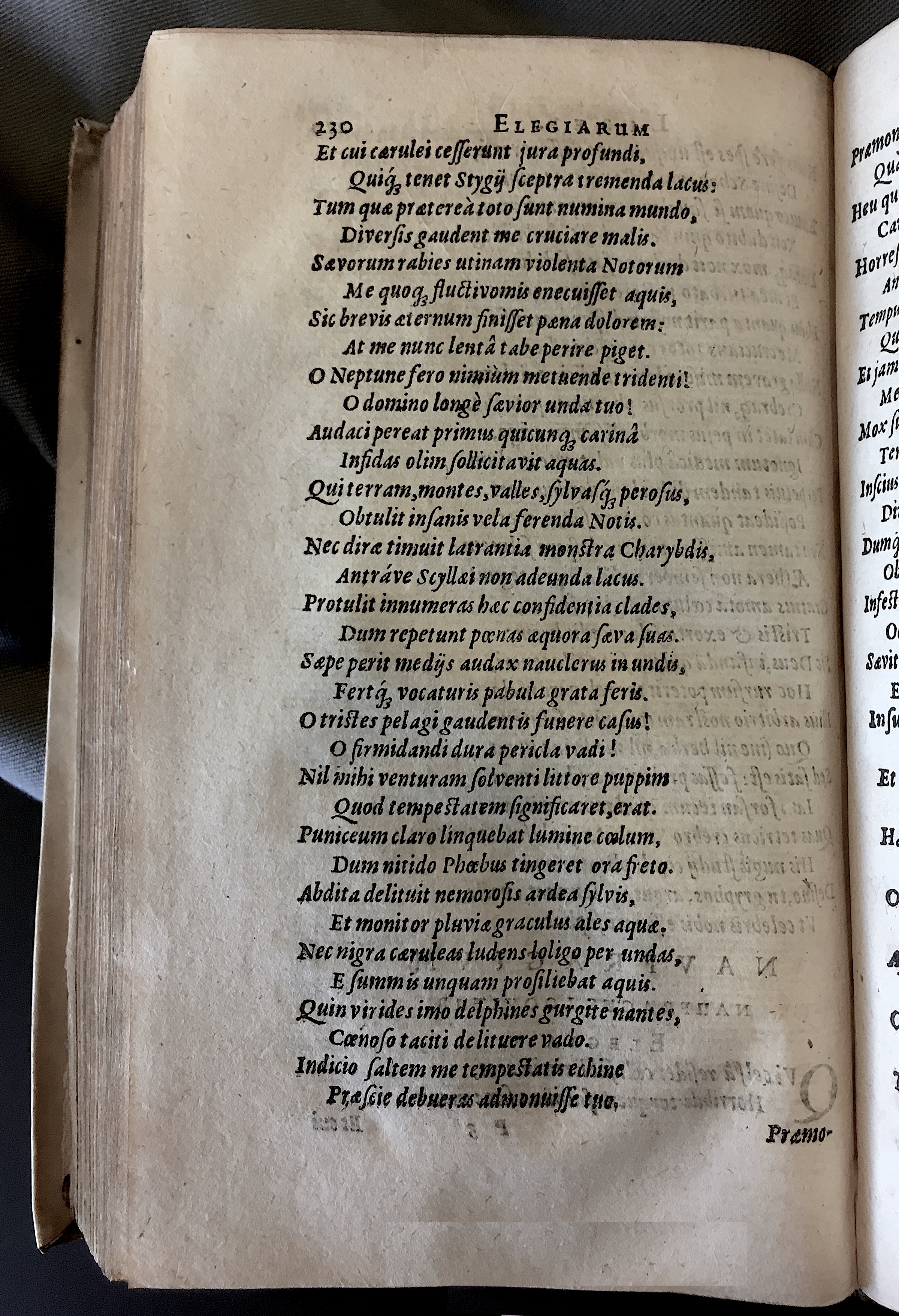 Schonaeus7Poemata1599p230.jpg