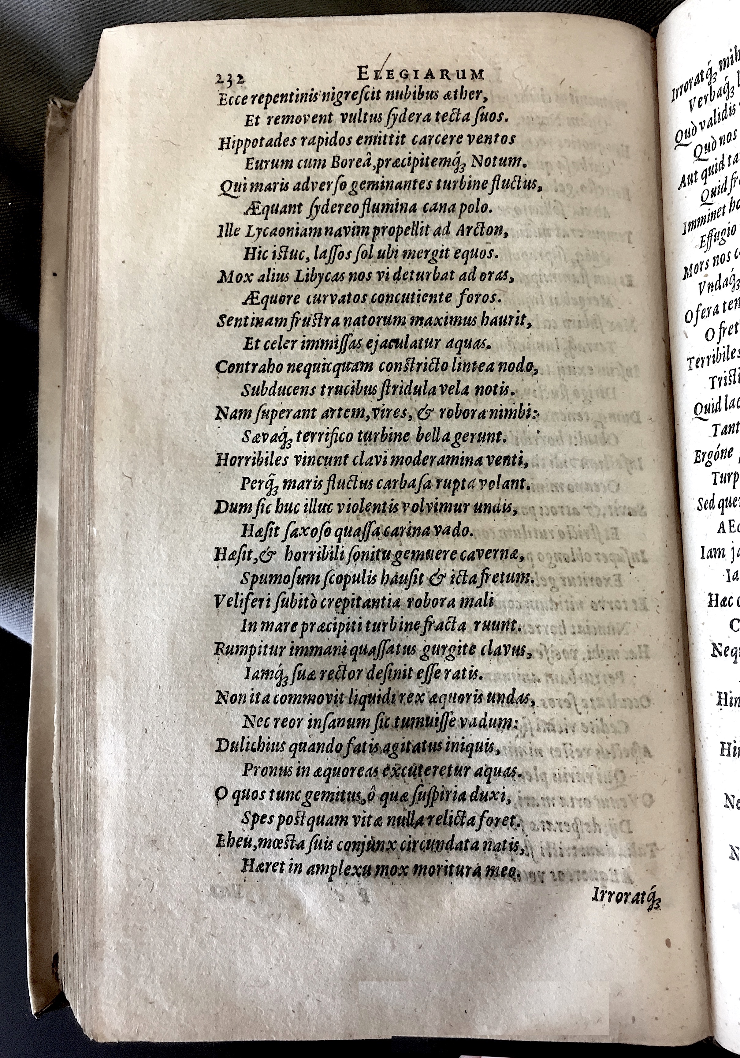 Schonaeus7Poemata1599p232.jpg