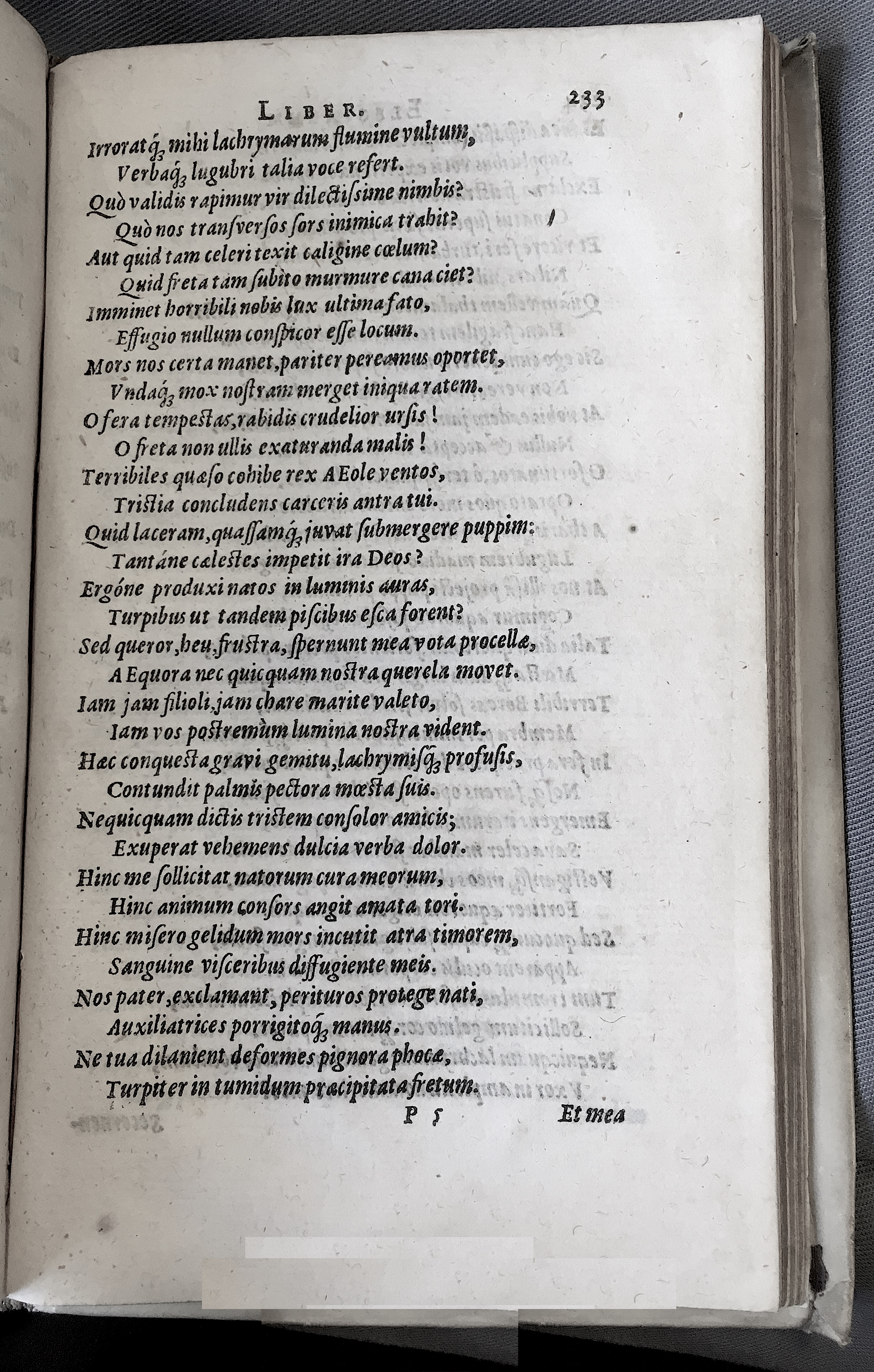 Schonaeus7Poemata1599p233.jpg