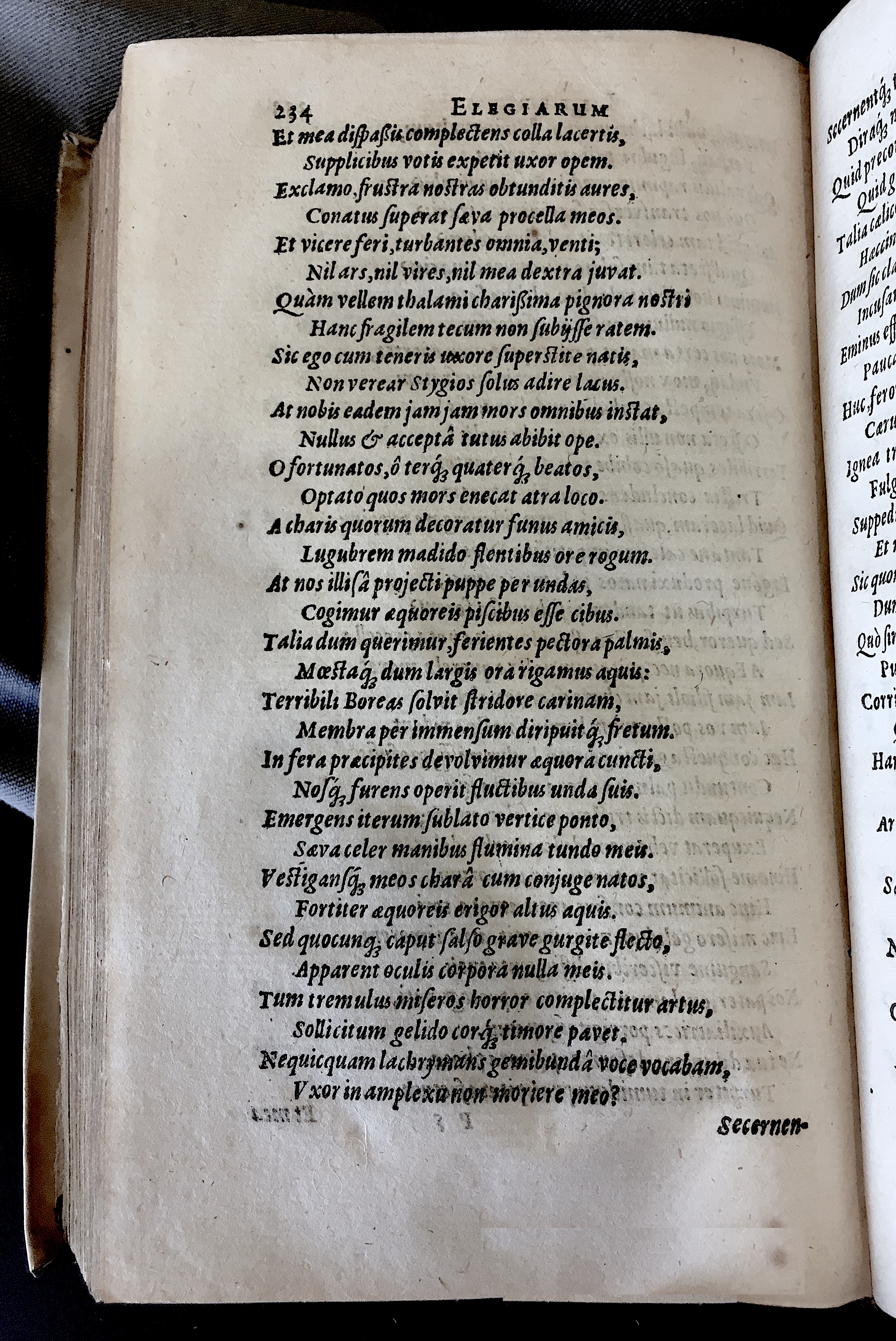 Schonaeus7Poemata1599p234.jpg