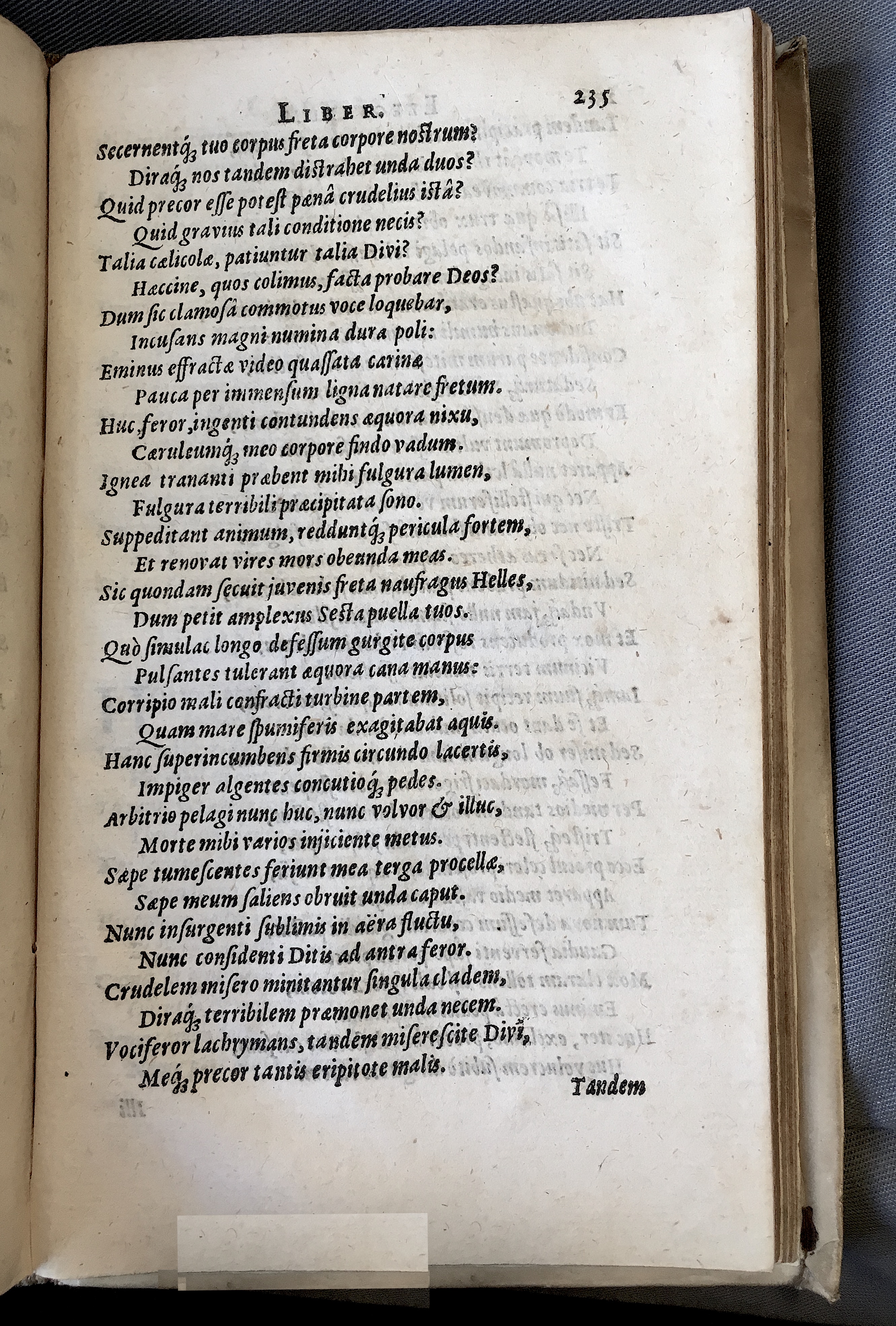 Schonaeus7Poemata1599p235.jpg