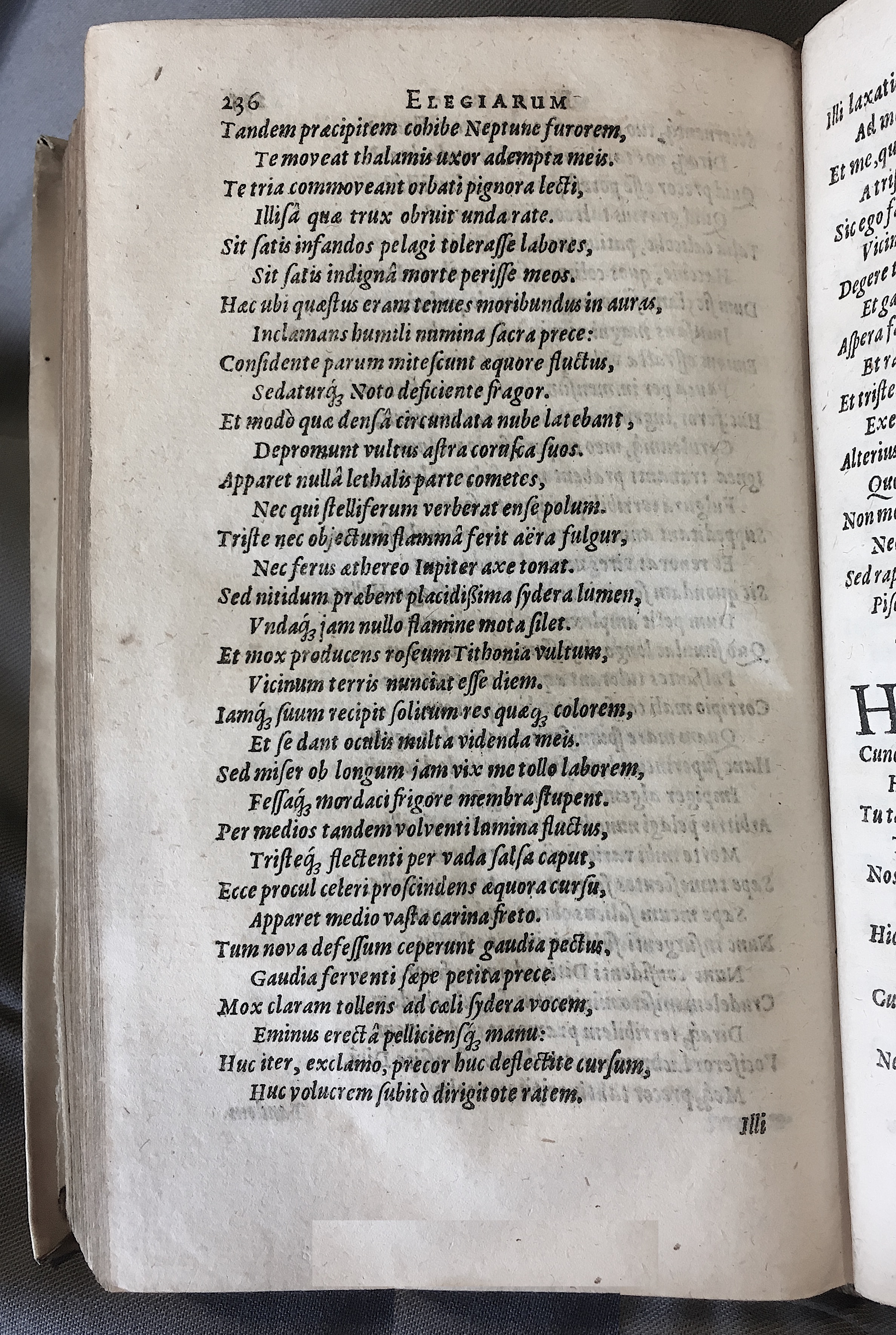 Schonaeus7Poemata1599p236.jpg