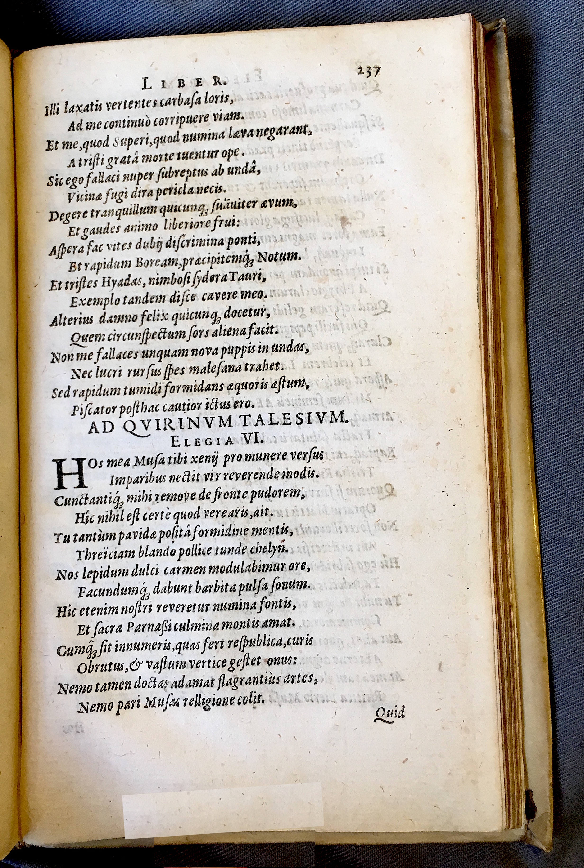 Schonaeus7Poemata1599p237.jpg