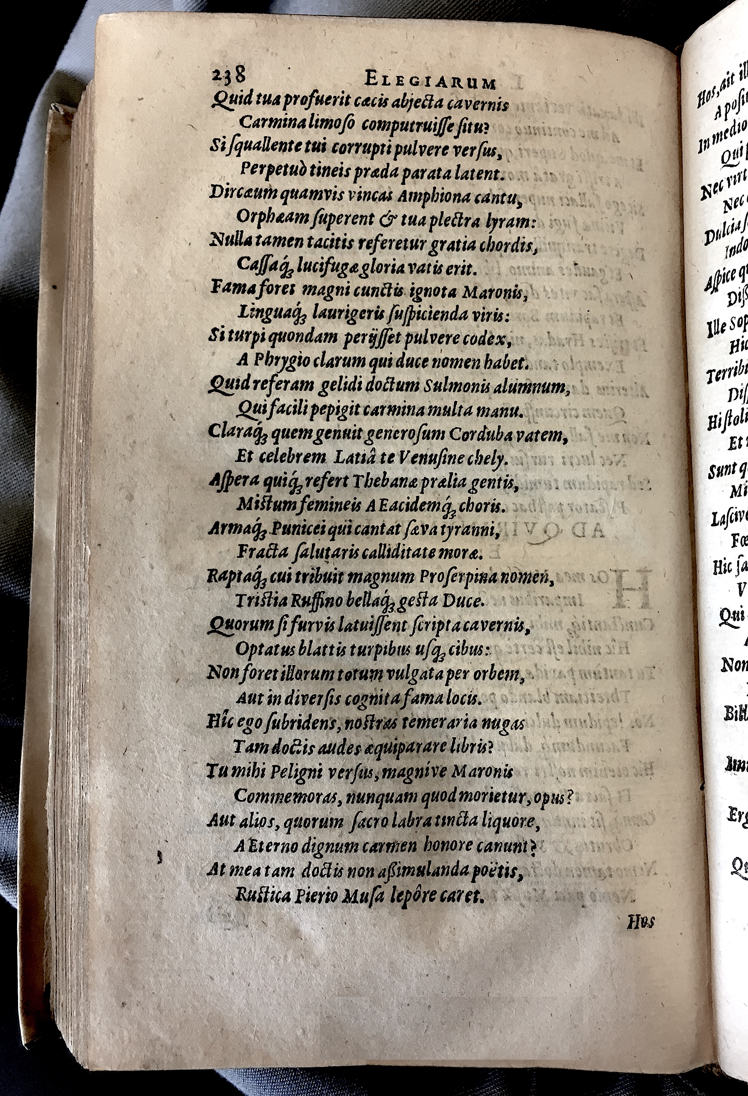 Schonaeus7Poemata1599p238.jpg