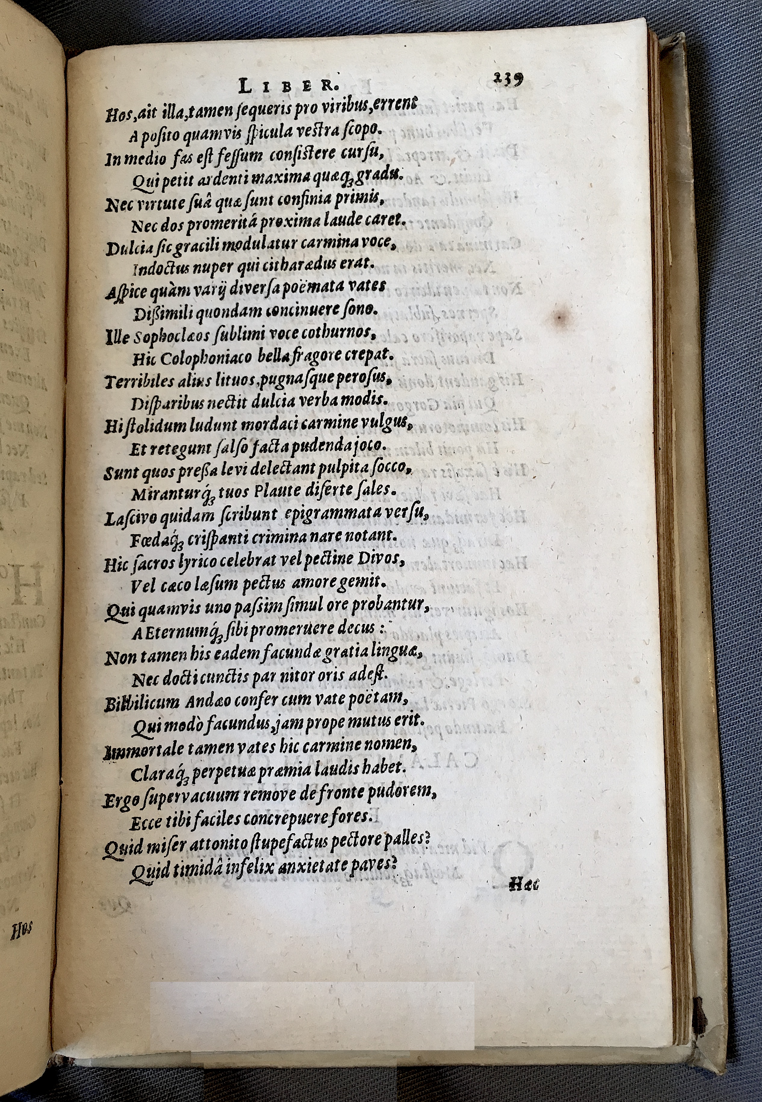 Schonaeus7Poemata1599p239.jpg